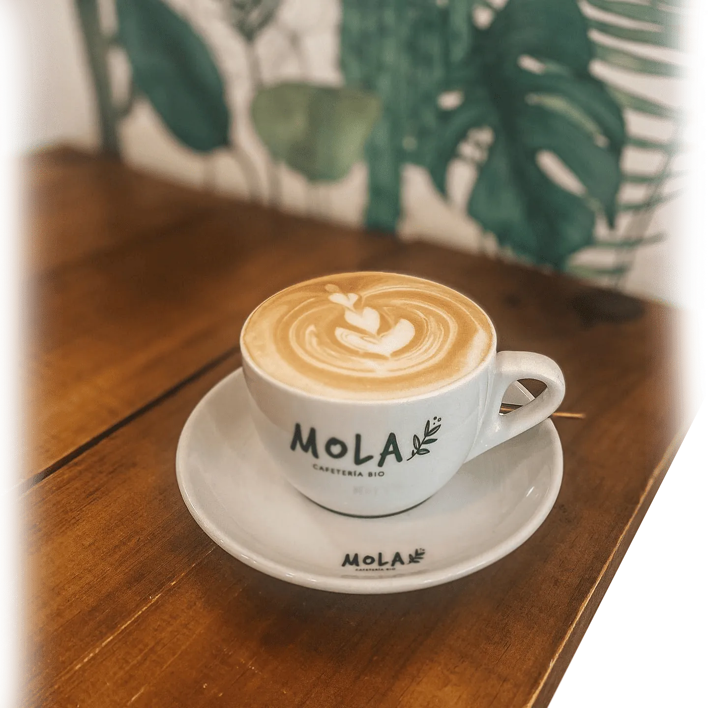 cafe mola portada